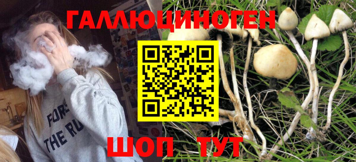 Псилоцибиновые грибы MAGIC MUSHROOMS  Вход с VPN  Вичуга 